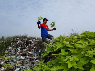 Bukit Sampah TPA Cipeucang Dihijaukan