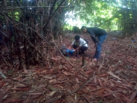 Polresta Ungkap Identitas Mayat Di Hutan Bambu Depok