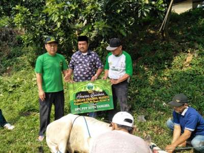 Kurban Tiga Ekor Sapi, PPP Kota Tangsel: Itu Simbol Untuk Pemilu 2019