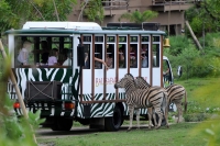 Obyek Wisata di Bogor Sajikan Hiburan Menarik