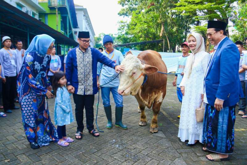 Idul Adha 1445 Hijriah, Pilar Sembelih Langsung Hewan Kurban