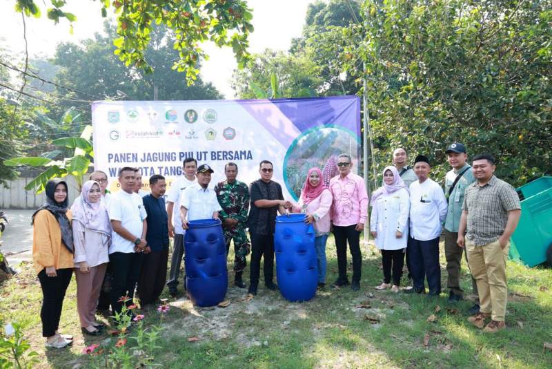 Panen Jagung Pulut di Tangsel, Pilar: Ajang Edukasi Anak-anak Tentang Pertanian