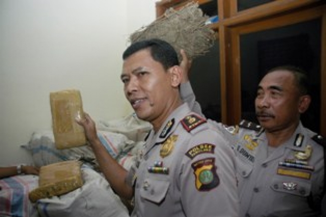 Pamulang- Bandar Ganja Kakap berhasil di ringkusya  Polsek Pamulang, 1 Ton di sita, Minggu (8/12)DT