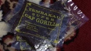 Awas Narkoba Jenis Baru Tembakau Gorilla Beredar di Kalangan Mahasiswa