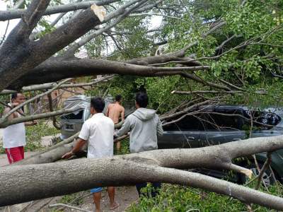 Angin Kencang Tumbangkan Pohon, 2 Mobil dan 1 Motor Jadi Korban