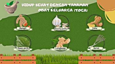 Manfaat tanaman obat (Foto: Pngtree)  Ilustrasi : Sasa/dt