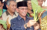 Bupati Serang, Taufik Nuriman