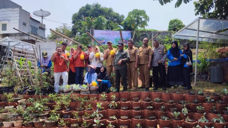 Indah Kiat Bersama DKP3 Tangsel Panen Golden Melon Karya KWT Nerada