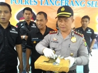 Kapolres Tangsel, AKBP Ayi Supardan saat menunjukan ganja kualitas super yang disita dari tangan pengojek Yoyon Saputra.