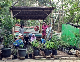 DKPP Kota Tangsel Mendorong Pemanfaatan Lahan Untuk Urban Farming