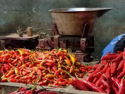 Efek Musim Hujan, Harga Cabai di Kota Tangsel Makin Hari Makin Pedes