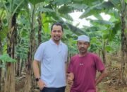 H. Agus Kosasih, Sang Pelopor Pisang Barangan Jumbo Merah dari Kabupaten Bogor