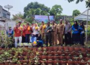 Indah Kiat Bersama DKP3 Tangsel Panen Golden Melon Karya KWT Nerada