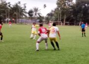 Adlin Tambunan Ajak Generasi Muda Latihan Sepak Bola Bersama, Dorong Pengembangan Talenta dan Pengamanan di Lapangan